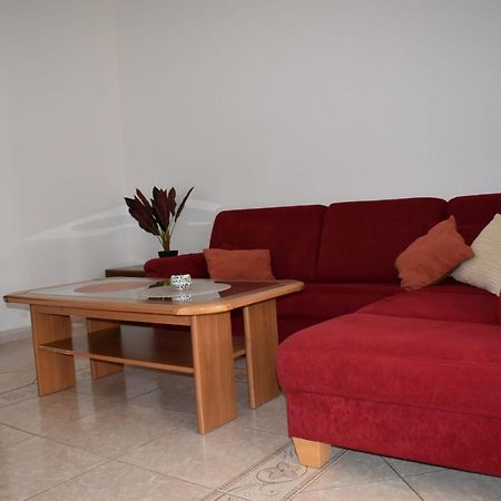 Pet Friendly Apartment Murvi 50 Novigrad  Bagian luar foto