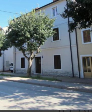 Pet Friendly Apartment Murvi 50 Novigrad  Bagian luar foto